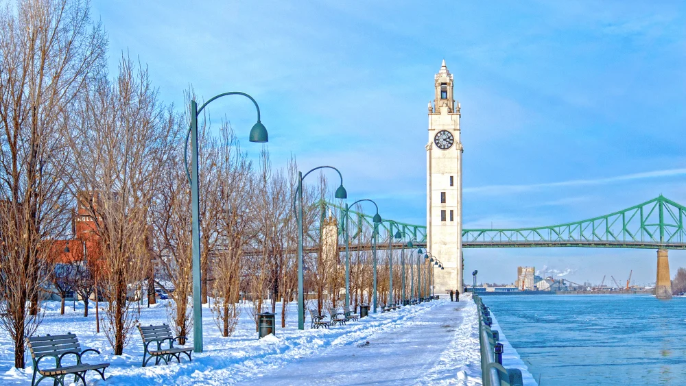 Canada Immigration Services Toronto